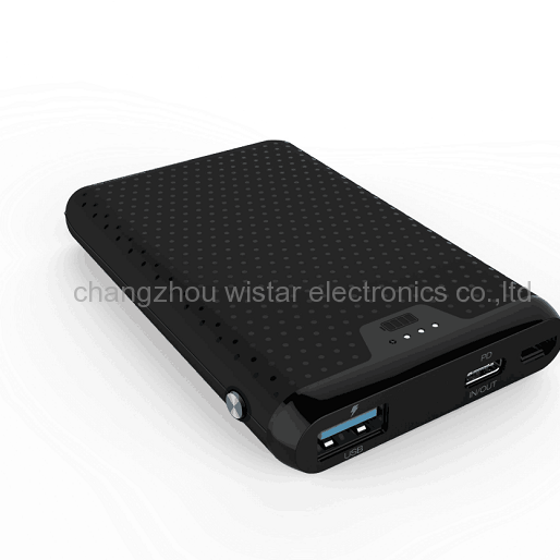 WISTAR PB-01 10000mah power bank