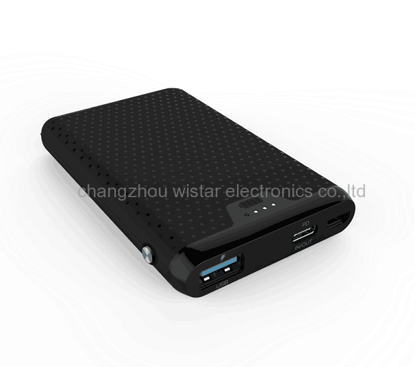 WISTAR PB-01 10000mah power bank