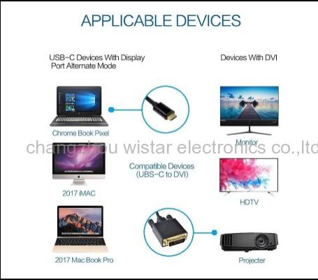 WISTAR TCA-05 Type c to DVI adapter