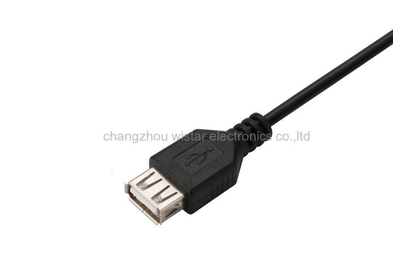 Wistar UB-01 USB A male to A female cable